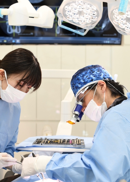 歯の模型で歯ブラシ